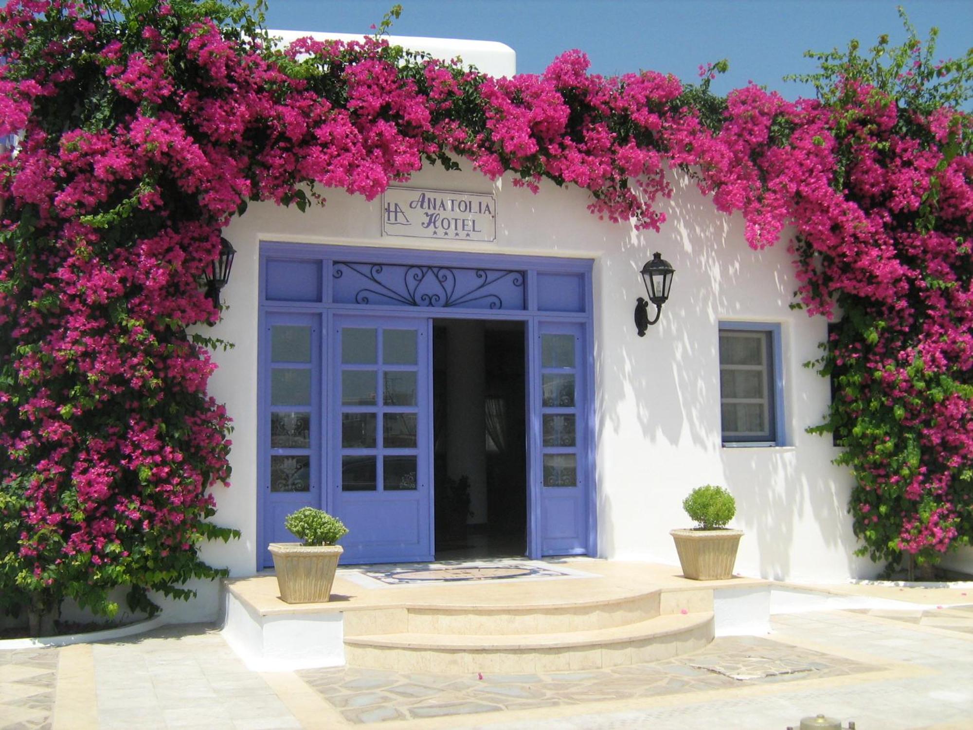 Hotel Anatolia Ano Mera Exterior photo